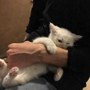 撸管二次元动画视频
