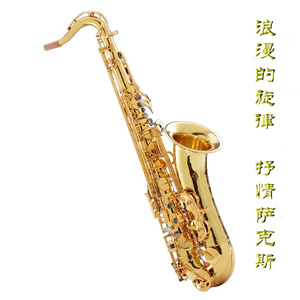 撸管二次元动画视频
